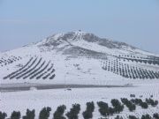 Bajo la nieve. Herencia, Ciudad Real
